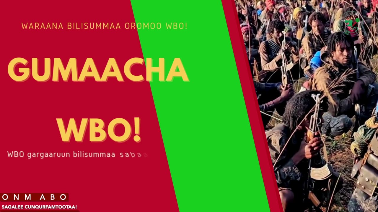 Gabaasa Gumaacha ONM-ABO Caamsaa 29-2025 itti dhiyaadhaa!