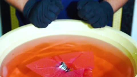 Nobody Guessed It Right… The Tissue Water Test Gone Crazy! | Zoro Experiments
