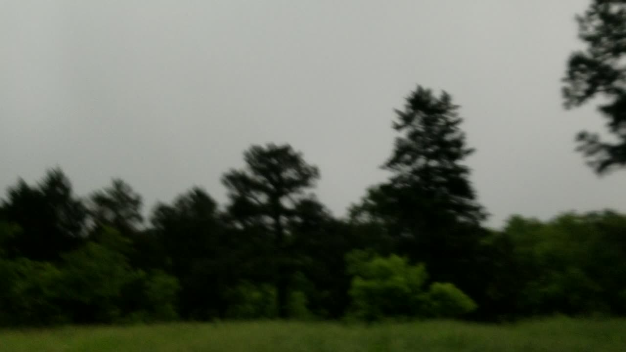 "Thunderstruck: Heart-Pounding Lightning Moments Captured"