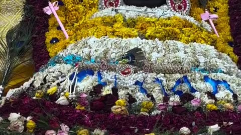 Jai shree shyam