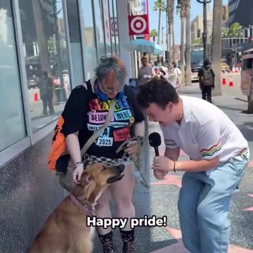 Honey is a gay gender fluid dog.