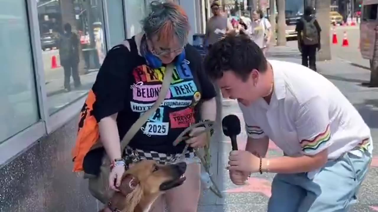 Honey is a gay gender fluid dog.