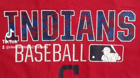 365 Days of Cleveland T-Shirts