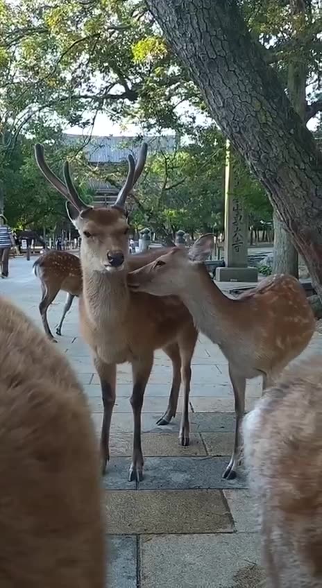 This is my friend and I am always alone 😒