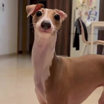 What ya looking at 😝