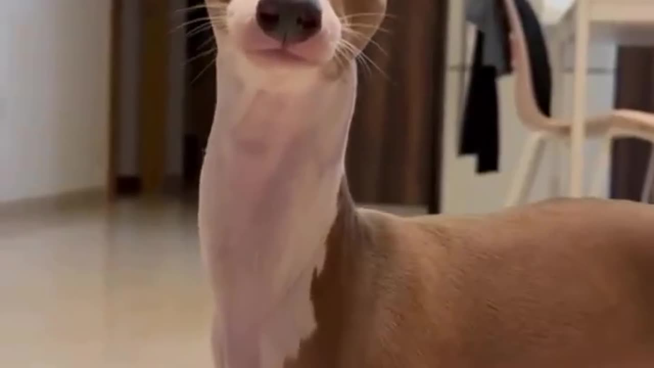 What ya looking at 😝