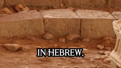 Why This Ancient Find Surprised Tour Guide Amit Greenfeld #Shorts #AmitGreenfeld