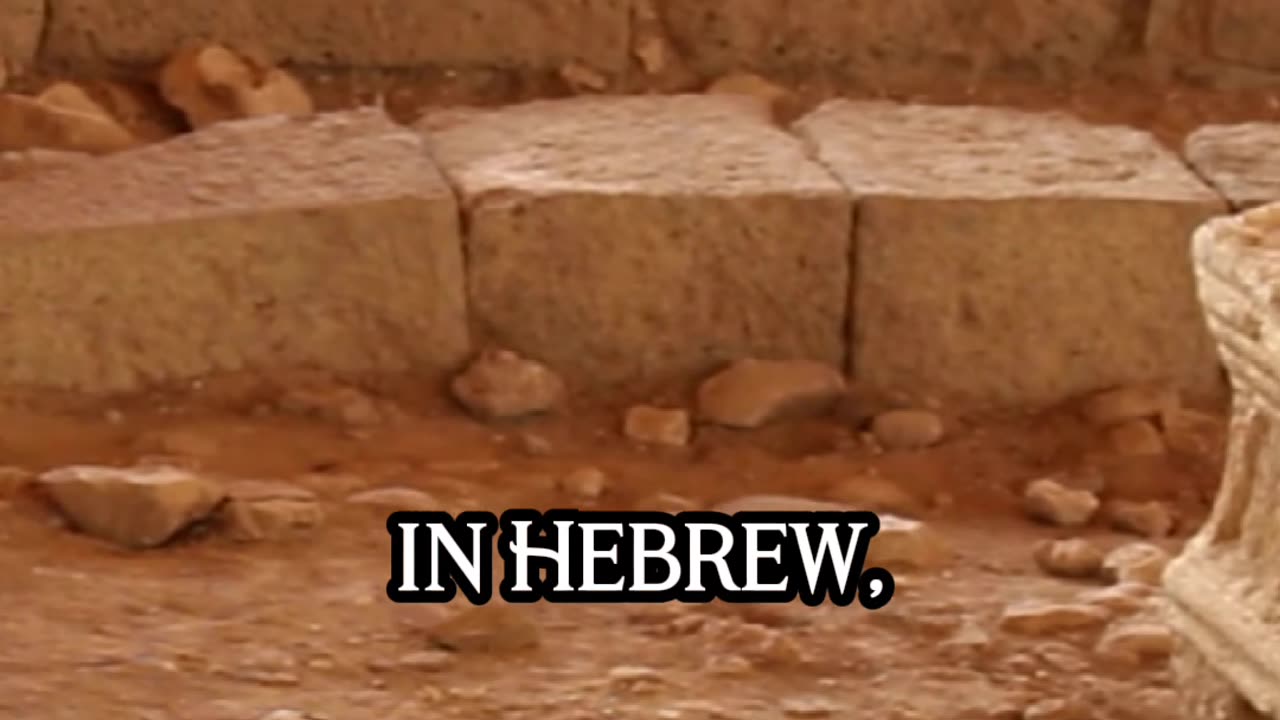 Why This Ancient Find Surprised Tour Guide Amit Greenfeld #Shorts #AmitGreenfeld