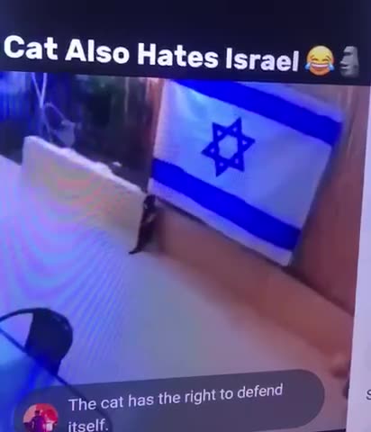 Cat pulls down terrorist Israel flag and throws it on the ground! 😂😍✋