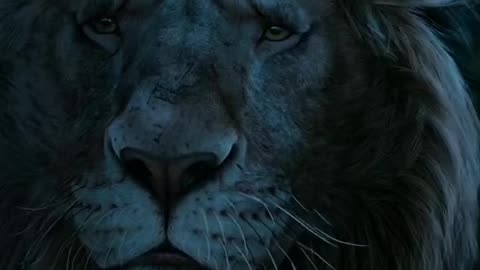 Mufasa 😍❤️ (Part - 28).....#reels #viralreels #reel #mufasa #animation #lastest #romantic #viralreel