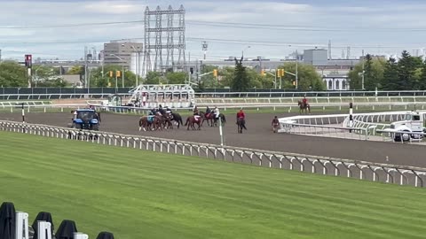 Thoroughbred racing in Toronto