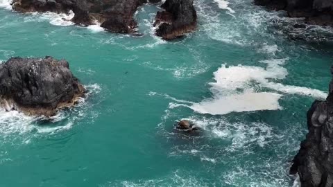 ⚡ You’ve Risen Before: This Is Just Another Test 🛡️