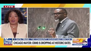 Chicago resident says city needs help to curb crime in Chicago