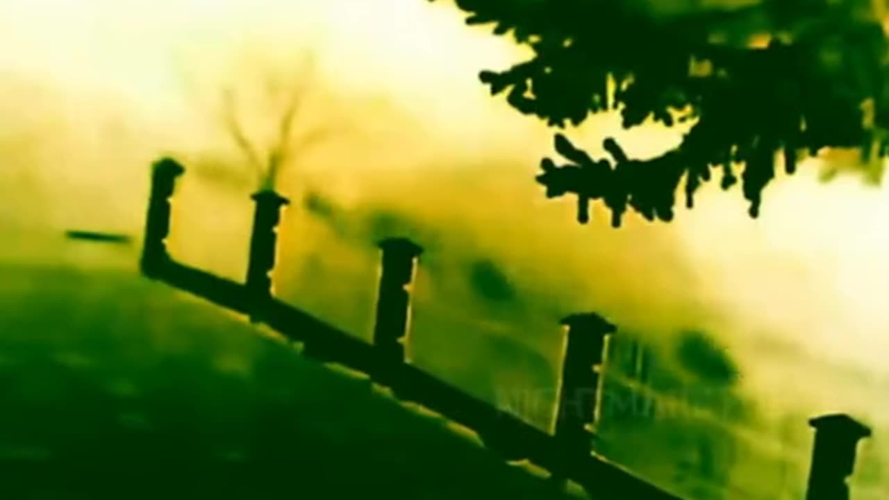 😨😱 What Is That? | TheHauntingHour