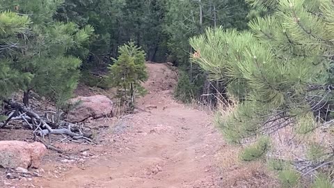 Recovery after 4 weeks