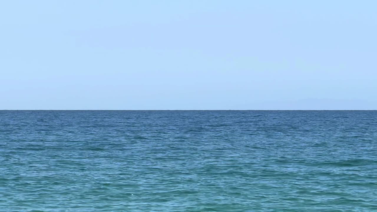 Invasive Mosquito Crisis Dengue, Zika, and Chikungunya