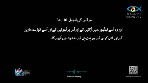 Gospel of Mark Chap 10 in Urdu Bible | مرقس کی انجیل | Marcus Ki Injeel | Gospel of Mark Urdu