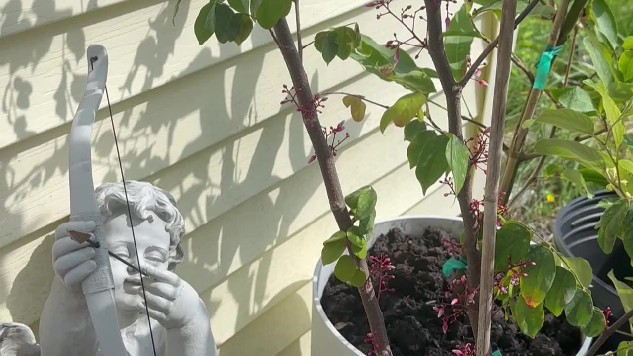 Look for Guidance within Your Soul