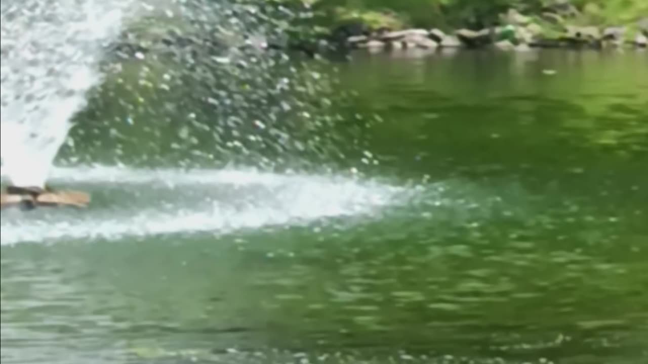 Saratoga springs