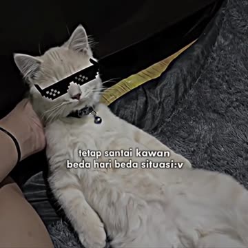 BEDA SITUS BEDA GACORNYA KAWAN