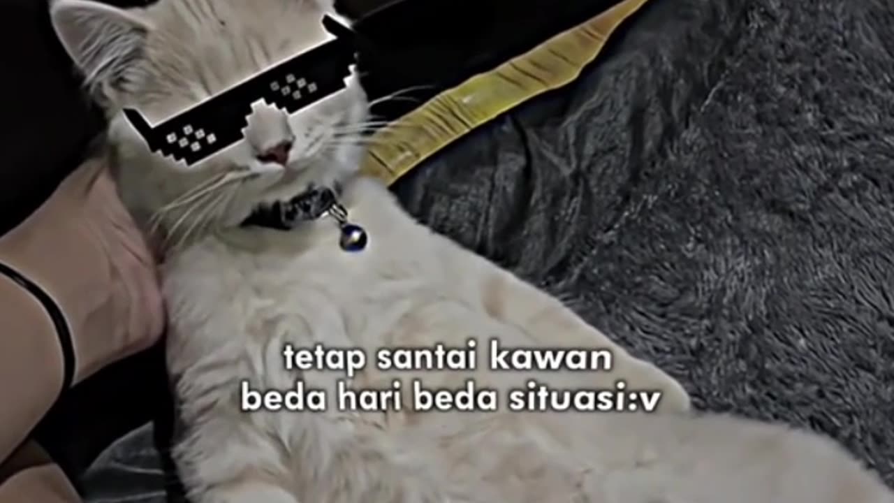 BEDA SITUS BEDA GACORNYA KAWAN