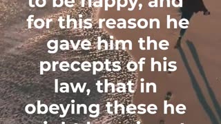 4 Statements about true Happiness