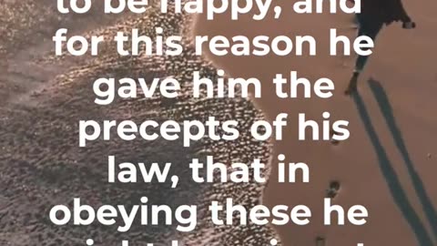 4 Statements about true Happiness