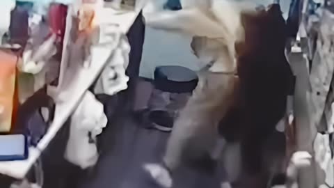 A Bronx Deli Fights Back