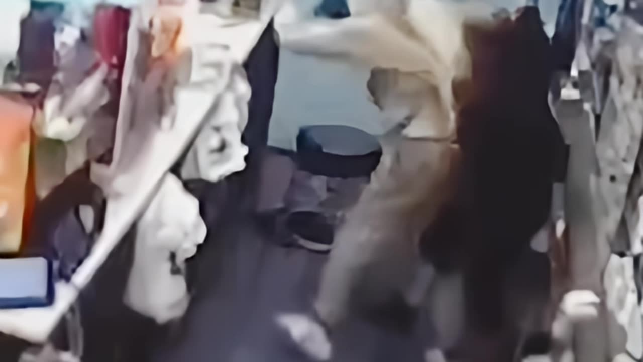 A Bronx Deli Fights Back