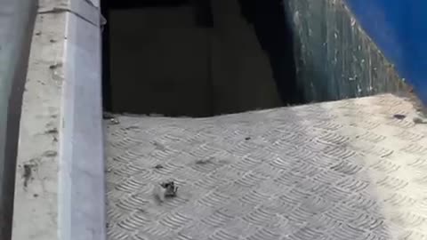 Man Walked Into Floor Abyss