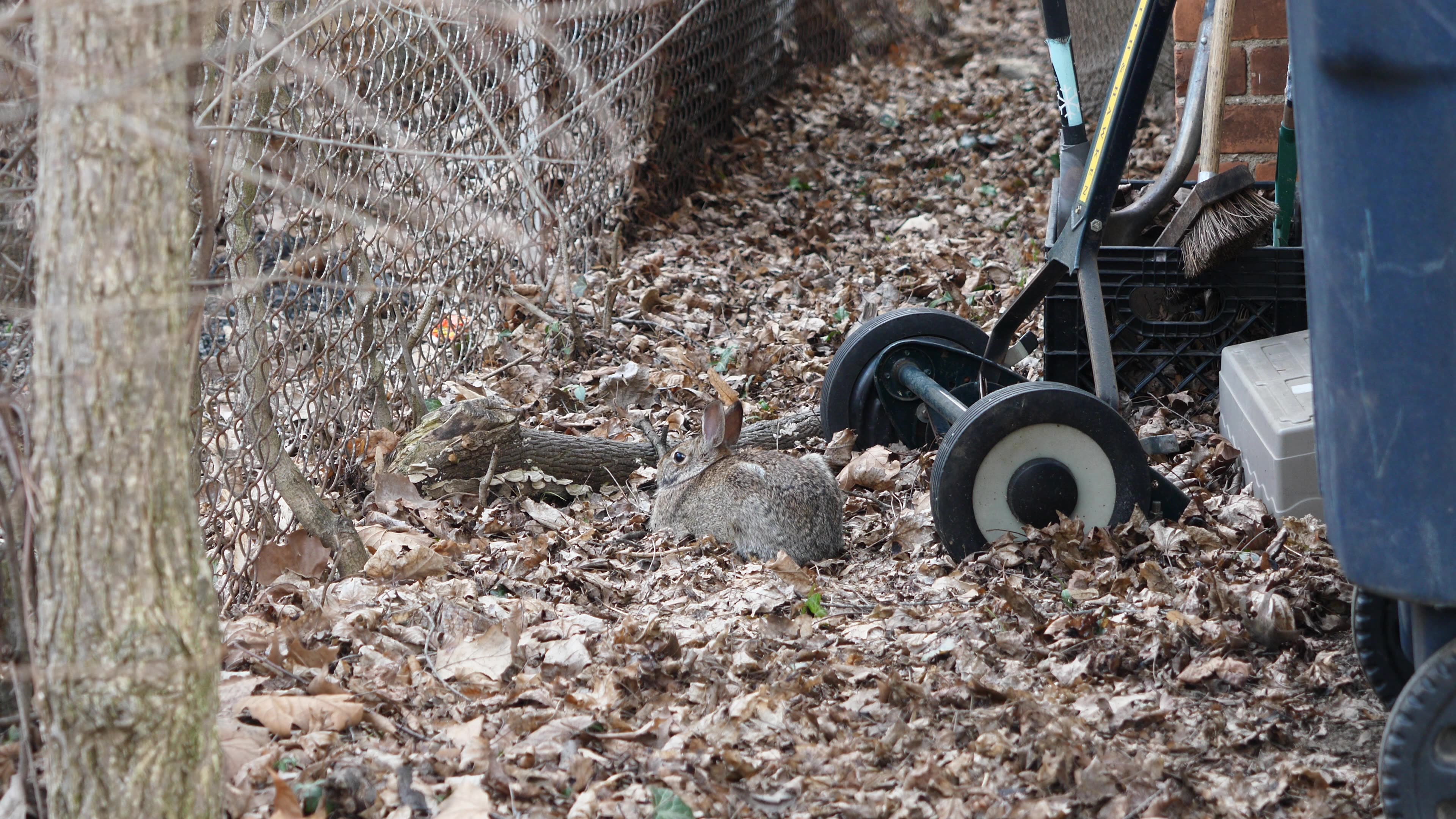 Its Right There In The Middle