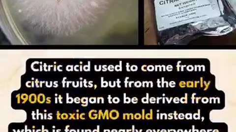 THE COMMON INGREDIENT DISCOVERY PRIME, CITRIC ACID: The Lemon Lie in Your Food