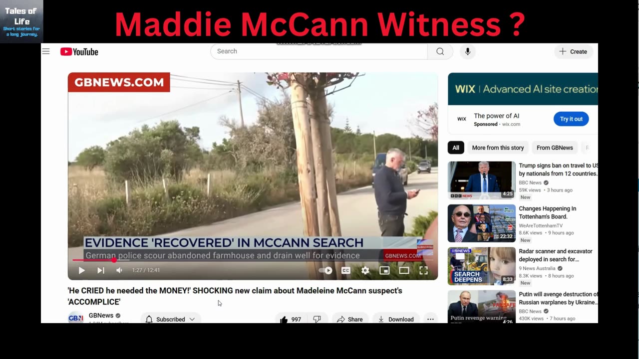 Maddie McCann Witness ?