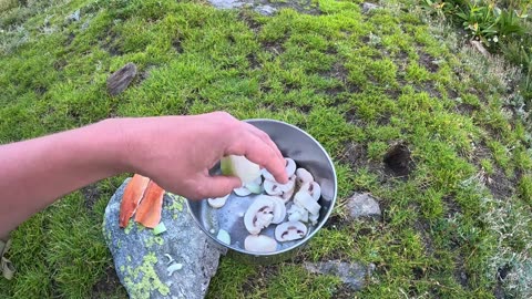 WILD Mountain Trout Fishing & SOLO Camping!!!