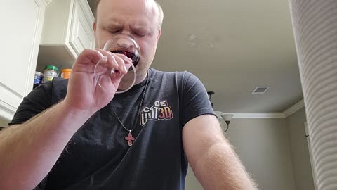 Wine Tasting the Wolftrap 2022 Red Blend South Africa