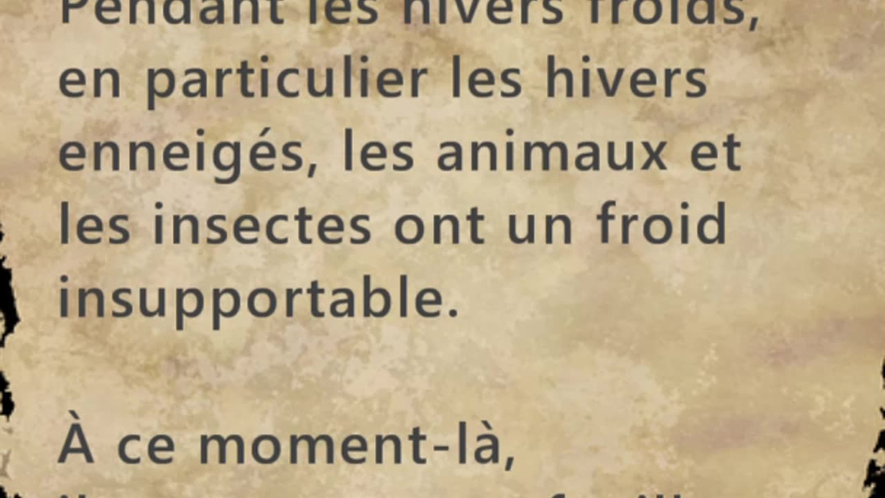 Feuilles tombées en automne - Huhito Fables-Version française Vol.7