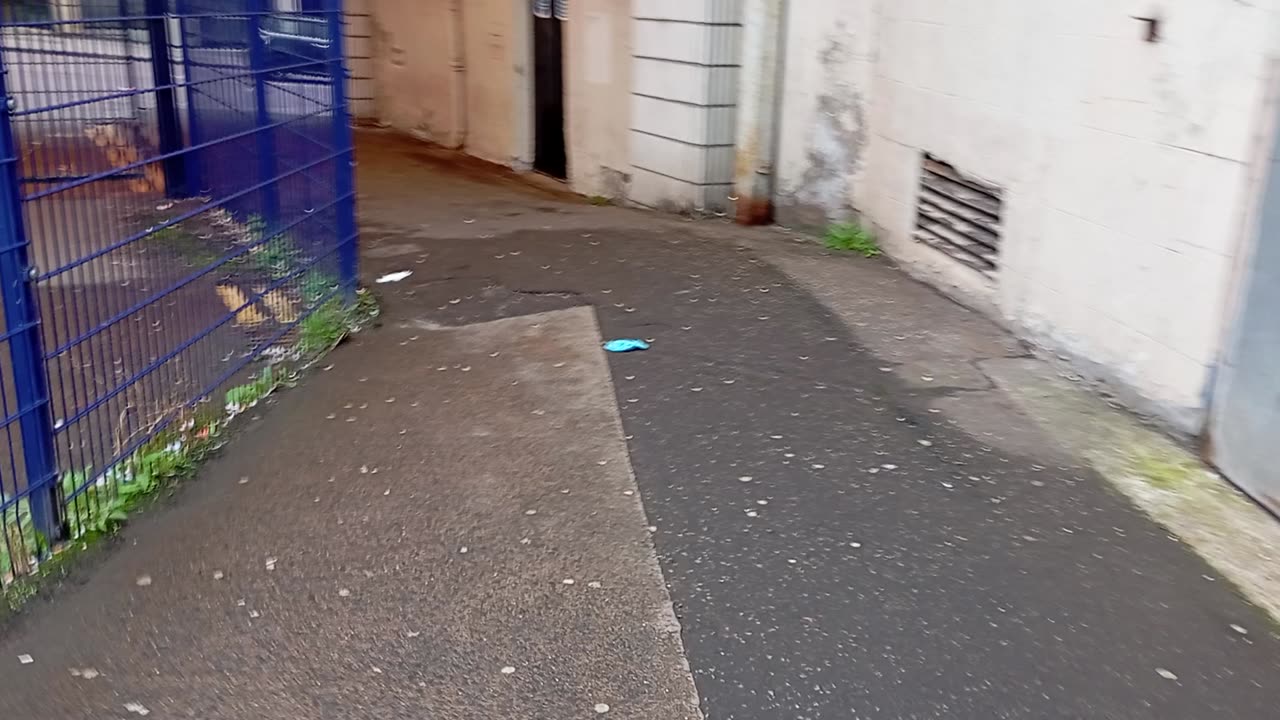 Backwards Bullshit covered Britain