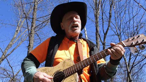 "The Orange and The Green" ( Irish Rovers) Guitar Van Cover