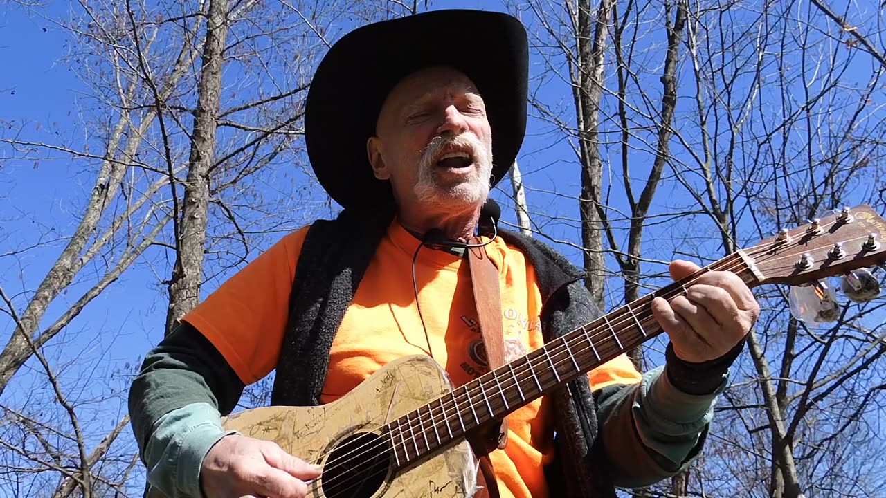 "The Orange and The Green" ( Irish Rovers) Guitar Van Cover