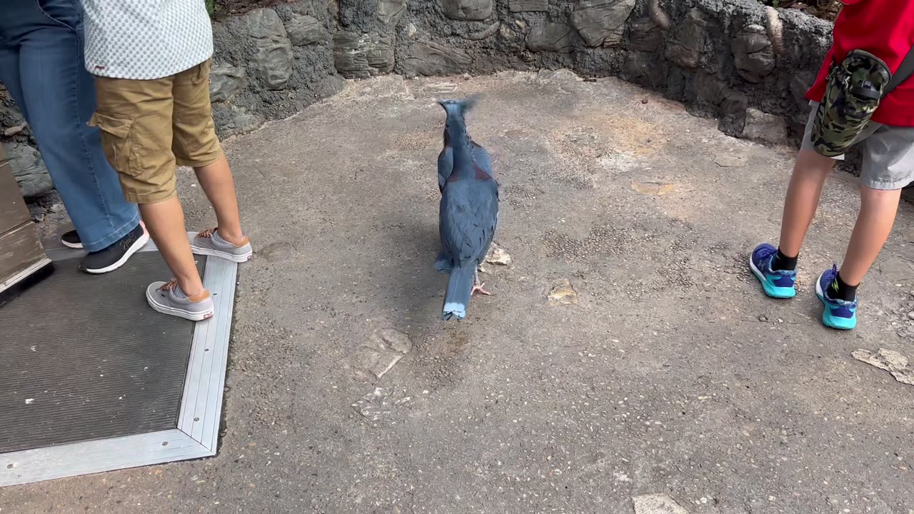 Cameron’s first time going to a zoo