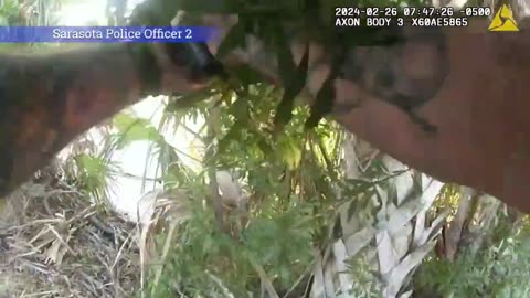 Shootout Ensues After Man With a Warrant Drives Into a Lake in Sarasota Florida