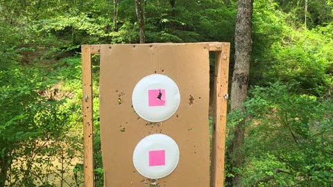 10mm Glock 20