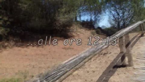 Pellestrina (12|14 Luglio 2022) [VE]