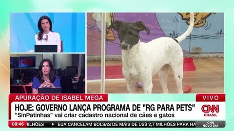 Quanto tempo até você ser obrigado a pagar um IPTU animal?
