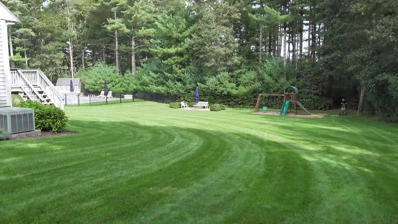 How to OVERSEED an UGLY LAWN in SPRING