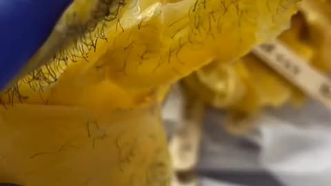 Brazilian Wax Using Sexy Smooth Golden Allure Hard Wax in New York | Full Strip Results Shown!