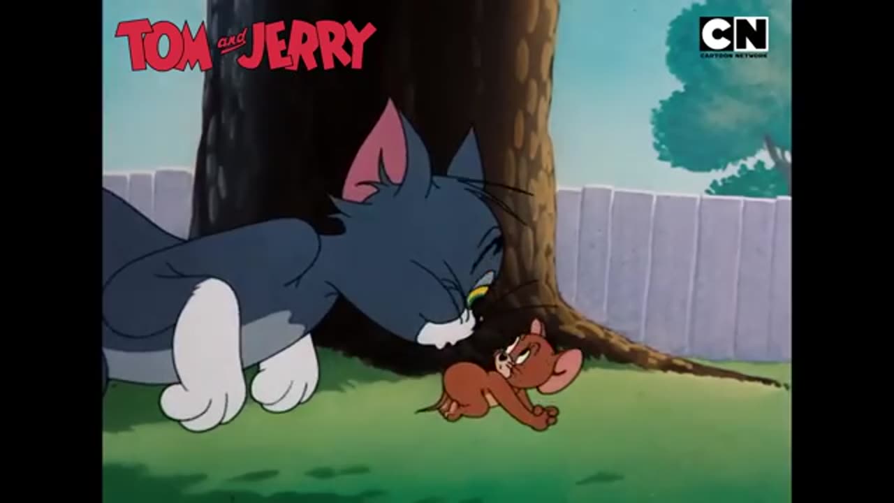 Tom and Jerry 😺🐭| The Duo of Destruction! 🔥| Compilation | Cat and Mouse Cartoon | @cnindia
