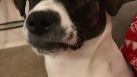 SERIOUSLY HOOMAN 👀TUESDAY 10/27/25