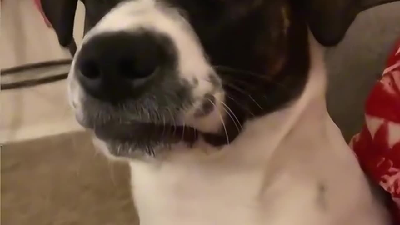 SERIOUSLY HOOMAN 👀TUESDAY 10/27/25