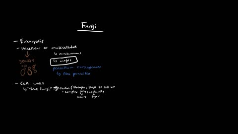 A Quick Overview of Fungi